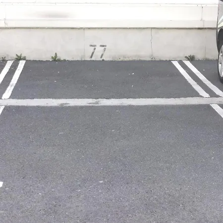 Le Palais Blanc - A 90m De La Grande - Parking Prive Daire *