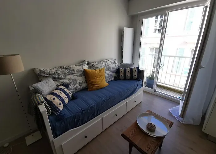 Le Palais Blanc - A 90m De La Grande - Parking Prive Apartment