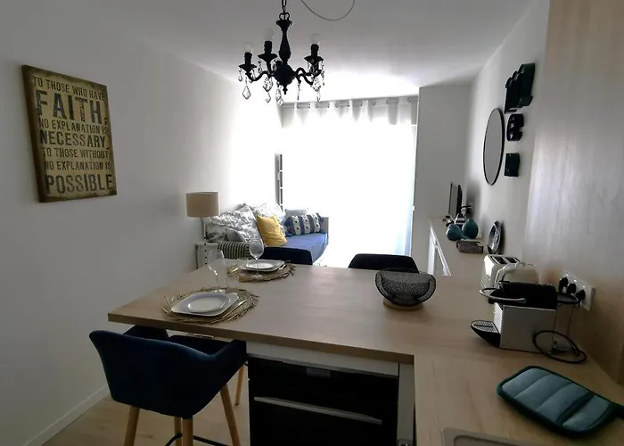 公寓 Le Palais Blanc - A 90m De La Grande - Parking Prive *