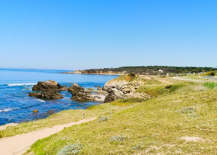 公寓 Le Palais Blanc - A 90m De La Grande - Parking Prive *