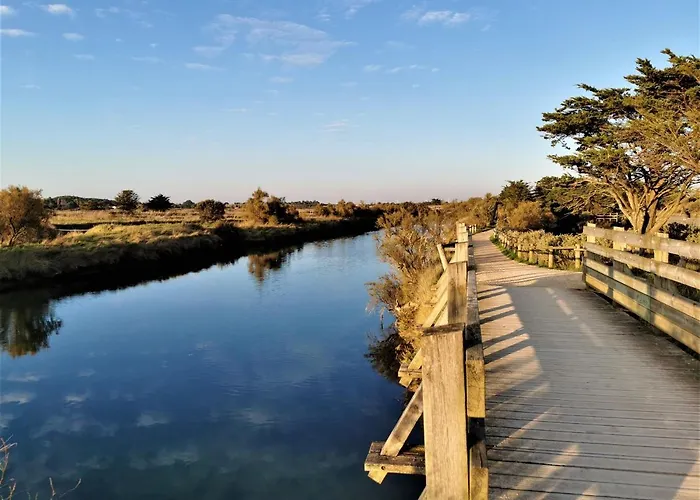 Le Palais Blanc - A 90m De La Grande - Parking Prive 莱萨布勒-多洛讷